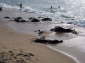 Baia 05-08-05 032