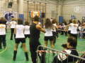 Baila Latino del M� Ciko Latino