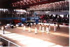 Baila Latino a Ponticelli - 23-01-05 - 002