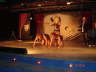 Cabaret - L'Equipe d'Animazione Porto Kaleo 2006 - 008