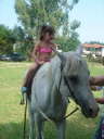 Cavalli - L'Equipe d'Animazione Porto Kaleo 2006 - 002
