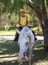 Cavalli - L'Equipe d'Animazione Porto Kaleo 2006 - 020