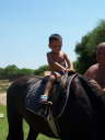 Cavalli - L'Equipe d'Animazione Porto Kaleo 2006 - 035