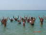 Fitness - L'Equipe d'Animazione Porto Kaleo 2006 - 007