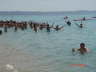 Fitness - L'Equipe d'Animazione Porto Kaleo 2006 - 011