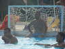 Giochi - L'Equipe d'Animazione Porto Kaleo 2006 - 088
