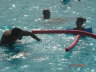Miniclub - L'Equipe d'Animazione Porto Kaleo 2006 - 217