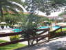 Villaggio Porto Kaleo - L'Equipe d'Animazione Porto Kaleo 2006 - 050