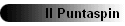 Il Puntaspin