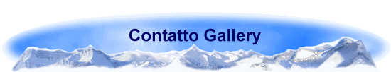 Contatto Gallery