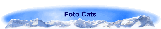 Foto Cats